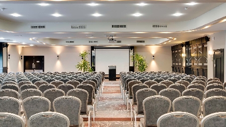 Carlton Hotel Dublin Airport Collinstown Suite